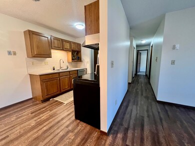 1828 Perlich Ave unit 1C, Red Wing, MN 55066 - photo 7