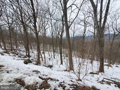 Lot 847,848,849 Blue Mountain Rd, Riverton, VA 22630 - photo 4