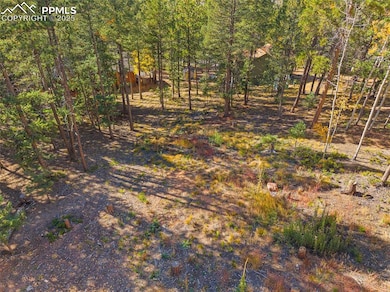 1320 Forest Edge Rd, Woodland Park, CO 80863 - photo 3