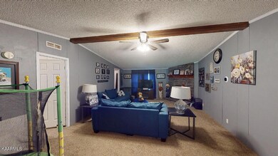 157 W Hills Rd, Rutledge, TN 37861 - photo 4