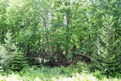 0 Ermine Rd unit 1421547, Sandy River Plantation, ME 04970 - photo 6