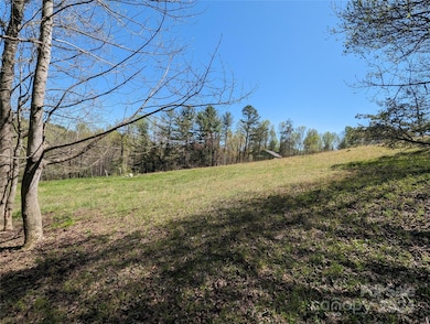 TBD Jaybird Ln, Flat Rock, NC 28731 - photo 2