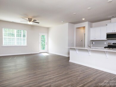 121 Olive Tea Ln, Statesville, NC 28625 - photo 4