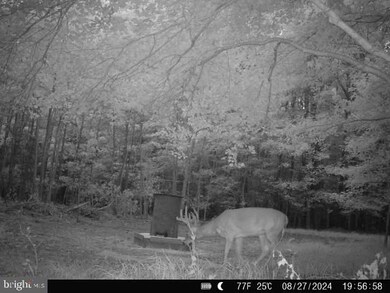 0 Aireys Rd unit MDDO2008728, Cambridge, MD 21613 - photo 5