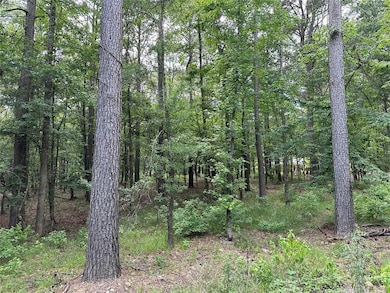 View of tree filled area