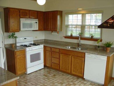 1005 Interloch Ct unit 53, Algonquin, IL 60102 - photo 6