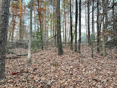 View of local wilderness