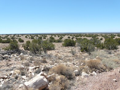 THE RANCH MAY 2018 056