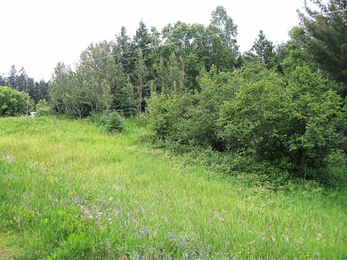 View of nature