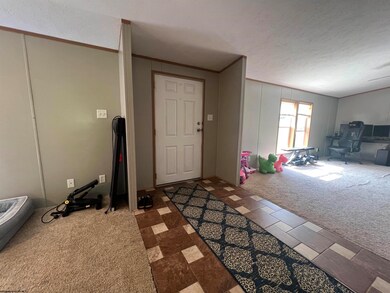 1087 Maple Spring Hwy, Eglon, WV 26716 - photo 5