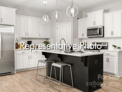 13213 Gadwal Pintail Dr unit 191, Charlotte, NC 28262 - photo 2