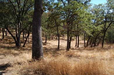0 NE Greenfield Tl300 unit 102982269, Grants Pass, OR 97526 - photo 2