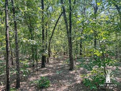 0 Brooken Mt Rd, Stigler, OK 74462 - photo 4