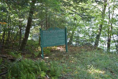 Map 33 Lot 68 Dillion Dr E, Strafford, NH 03884 - photo 5