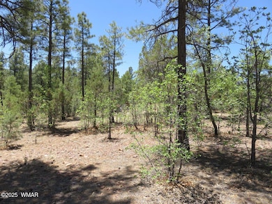 20180531202205596664000000-o - Copy - Co