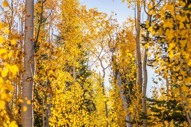 0 Tbd unit 11613076, Big Piney, WY 83113 - photo 7