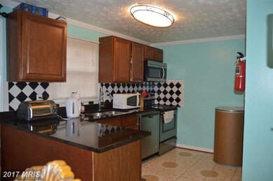 3828 Evans Trail Ct, Beltsville, MD 20705 - photo 5