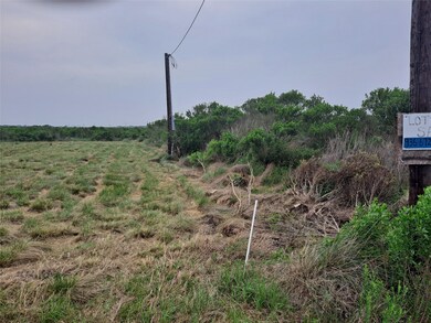 0 County Road 299 Heron unit 67049076, Sargent, TX 77414 - photo 4