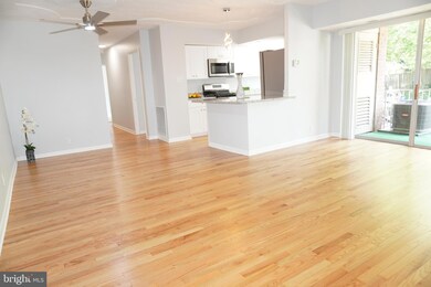 3700 N Rosser St unit 104, Alexandria, VA 22311 - photo 6