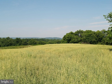 3714 Petersville Rd, Knoxville, MD 21758 - photo 6