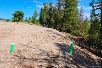 198 Baler Ct unit 891, Hartsel, CO 80449 - photo 6