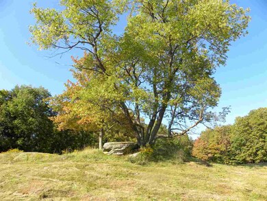 0 Meek Rd, Lowell, VT 05847 - photo 4