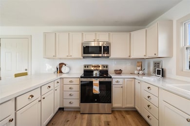 1316 Orchard St, Adel, IA 50003 - photo 3