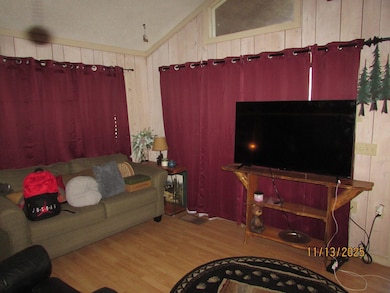 2385 Road 4748, Hiawassee, GA 30546 - photo 4