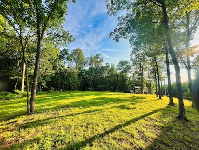 3202 Lego School Rd, Linden, TN 37096 - photo 4