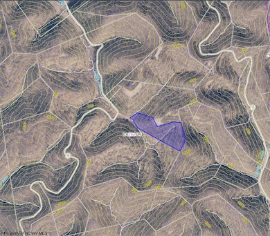 Parcel 22 Little Rowels Run, Creston, WV 26141 - photo 7