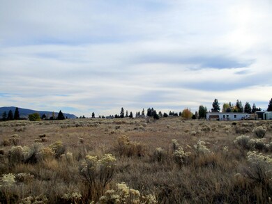 Sundance 5