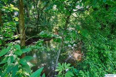 0 Shoal Creek Rd unit 1148561, Goodspring, TN 38460 - photo 5