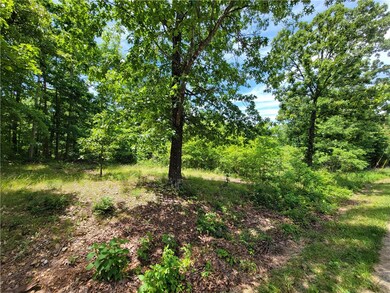 000 Chatburn Dr, Bella Vista, AR 72715 - photo 2