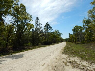 0 Turkey Oak unit 774761, Perry, FL 32348 - photo 2