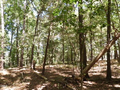 263 Russell Chapel Church Rd, Pittsboro, NC 27312 - photo 4