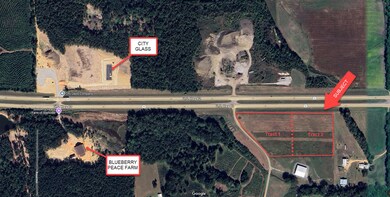 0 Us Hwy 82 (Tract 2), Starkville, MS 39759 - photo 4