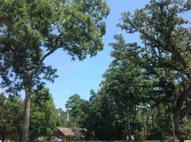 704 Adeline Ct unit Lot 5, Conway, SC 29526 - photo 4