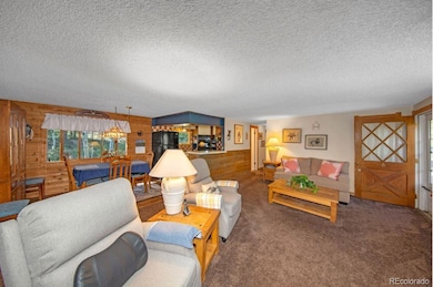 567 Forest Dr, Bailey, CO 80421 - photo 7