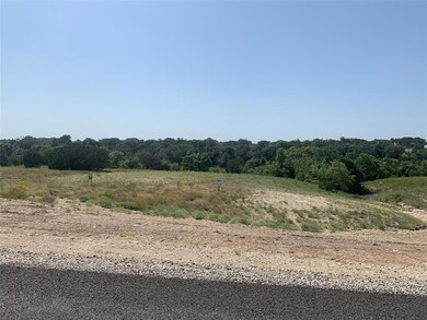 2104 Eagles Crest Ln, Brock, TX 76087 - photo 5
