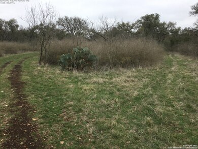 000 Pr 233, Hondo, TX 78861 - photo 3