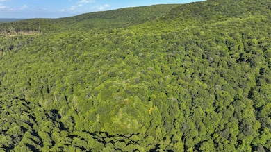DJI_0255