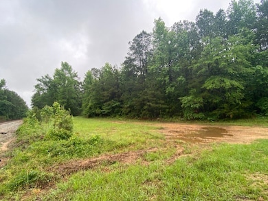 0 Isaac Creek Rd, Homer, LA 71040 - photo 5