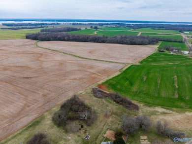 Lot 2 Mack Rd, Athens, AL 35611 - photo 5