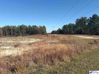 TBD Ruby Rd, Hartsville, SC 29550 - photo 3