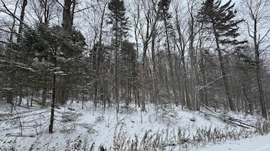 0 Bergrucken Ln, Readsboro, VT 05350 - photo 2