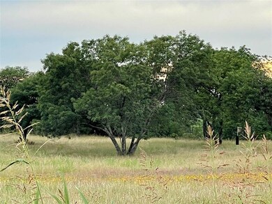 Lot 21R Cactus Rio Ln, Weatherford, TX 76087 - photo 5
