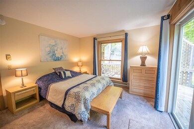 303 Chimney Hill Rd unit M214, Wilmington, VT 05363 - photo 3