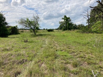 View of north end fenceline
