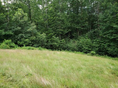 49 Whitcher Rd, Newport, NH 03773 - photo 6