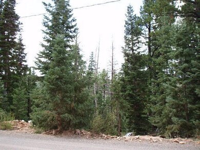 Back side of property on Pioneer Rd